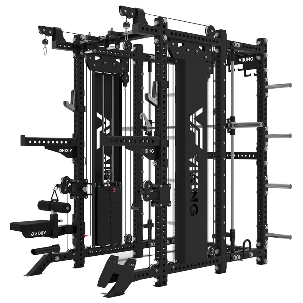 Viking Black Beast All In One Trainer